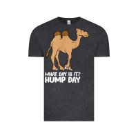 Vintage Black what day is it hump day funny camels hump day t shirt Vintage Tee - linhVisuals