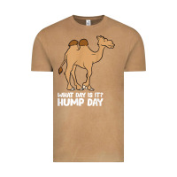 Vintage Camel what day is it hump day funny camels hump day t shirt Vintage Tee - linhVisuals