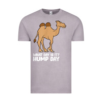Vintage Zinc what day is it hump day funny camels hump day t shirt Vintage Tee - linhVisuals