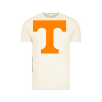 Vintage Arctic Tennessee Vintage Tee - linhVisuals