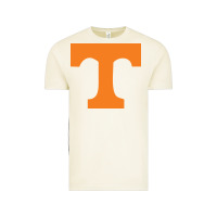 Vintage Arctic Tennessee Vintage Tee - linhVisuals