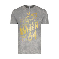 Cloud Rock will you still need me when i'm 64 birthday for wife 64 love premium t Vintage Tee - linhVisuals