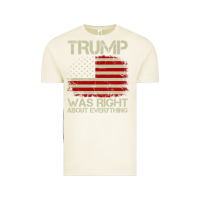 Vintage Arctic vintage usa american flag trump was right about everything pullover ho Vintage Tee - linhVisuals