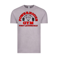 Vintage Zinc POWERHOUSE GYM CLASSIC Vintage Tee - linhVisuals
