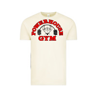 Vintage Arctic POWERHOUSE GYM VINTAGE SPORT Vintage Tee - linhVisuals