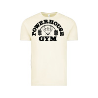 Vintage Arctic POWERHOUSE GYM Vintage Tee - linhVisuals
