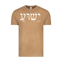 Vintage Camel yeshua jesus in hebrew pullover hoodie Vintage Tee - linhVisuals
