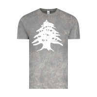 Cloud Rock retro lebanon cedar lebanese Vintage Tee - linhVisuals
