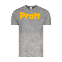 Cloud Rock Pratt Institute Vintage Tee - linhVisuals