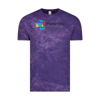 Ringling College Of Art And Design Vintage Tee | Teevron