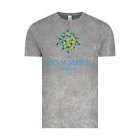 Cloud Rock bryn mawr school Vintage Tee - linhVisuals