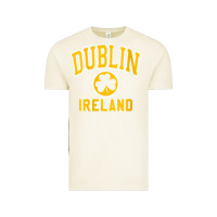 Vintage Arctic womens dublin ireland varsity style shamrock green with amber print v Vintage Tee - linhVisuals