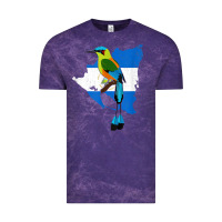 Cloud Purple nicaragua guardabarranco, nicaragua t shirt Vintage Tee - linhVisuals