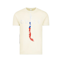 Vintage Arctic chilean map and flag   distressed chile souvenir t shirt Vintage Tee - linhVisuals