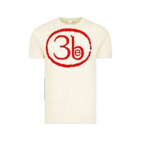 Vintage Arctic Third Eye Blind Classic Vintage Tee - linhVisuals