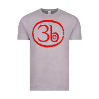 Vintage Zinc Third Eye Blind Classic Vintage Tee - linhVisuals