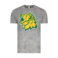 Cloud Rock Missouri Southern, Mssu Lions Vintage Tee - linhVisuals