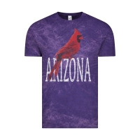 Black Vintage Cardinal Red Bird Arizona Az Gifts Premium T Shirt Vintage Tee | Teevron