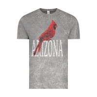 Cloud Rock black vintage cardinal red bird arizona az gifts premium t shirt Vintage Tee - linhVisuals