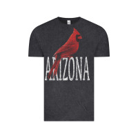 Vintage Black black vintage cardinal red bird arizona az gifts premium t shirt Vintage Tee - linhVisuals