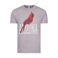 Vintage Zinc black vintage cardinal red bird arizona az gifts premium t shirt Vintage Tee - linhVisuals