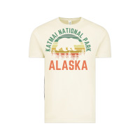 Vintage Arctic katmai national park alaska bear hiking travel nature retro pullover h Vintage Tee - linhVisuals