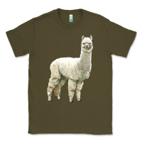 Army Green Alpaca Classic Tee - LillyAllenDesigns