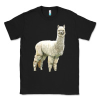 Black Alpaca Classic Tee - LillyAllenDesigns