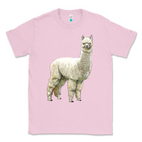 Bubblegum Pink Alpaca Classic Tee - LillyAllenDesigns