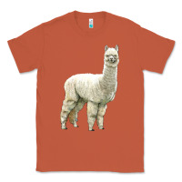Copper Alpaca Classic Tee - LillyAllenDesigns