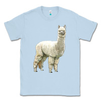 Dusty Blue Alpaca Classic Tee - LillyAllenDesigns