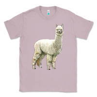 Lilac Alpaca Classic Tee - LillyAllenDesigns