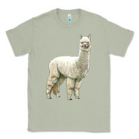 Matcha Alpaca Classic Tee - LillyAllenDesigns