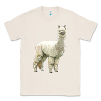 Natural Alpaca Classic Tee - LillyAllenDesigns