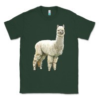 Sports Green Alpaca Classic Tee - LillyAllenDesigns