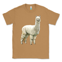 Toasted Coconut Alpaca Classic Tee - LillyAllenDesigns