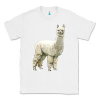 White Alpaca Classic Tee - LillyAllenDesigns