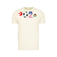 Vintage Arctic North America 2026 Football  Canada USA Mexico Soccer Vintage Tee - maiPhamDesign