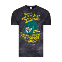 Cloud Black Pinky and the Brain The World Vintage Tee - maiPhamDesign