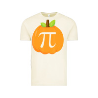 Vintage Arctic funny halloween and thanksgiving pumpkin pi math  gifts Vintage Tee - maiPhamDesign