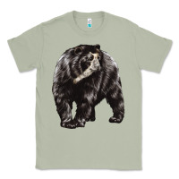 Matcha Spectacled Bear Classic Tee - LillyAllenDesigns