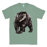Sage Spectacled Bear Classic Tee - LillyAllenDesigns