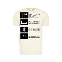Vintage Arctic Tax Day Eat Sleep Do Taxes Repeat Gift Vintage Tee - Bettercallsaul
