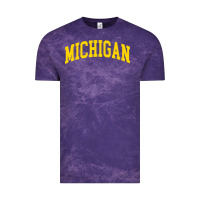 Michigan - Throwback Design - Classic , Best Gift, Costume, Halloween, Vintage Tee | Teevron