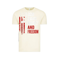 Vintage Arctic God Guns Whiskey Freedom - Pro Gun American Flag Guns Arts Characters Vintage Tee - maiPhamDesign