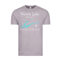 Vintage Zinc Norris Lake, Tennessee Characters Video game Vintage Tee - maiPhamDesign