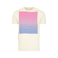 Vintage Arctic Bisexual Pride Subtle Bi Vintage Tee - longCreatives