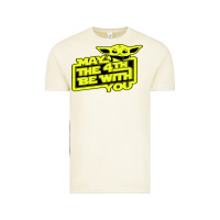 Vintage Arctic may the 4th be with you Vintage Tee - longCreatives