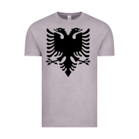 Vintage Zinc Albanian Flag Eagle Double Red Albania Shqipe Kosovo Vintage Tee - longCreatives