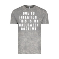 Cloud Rock due to inflation, this is my halloween costume pullover Vintage Tee - longCreatives
